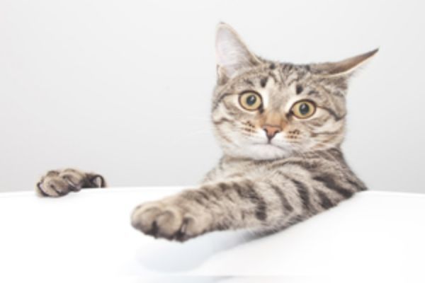 蜗牛面膜适合什么年龄段