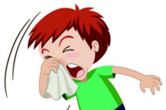 哺乳期能不能吃菩提