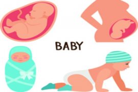 韩国马油多少钱