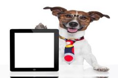 棒球帽搭配西装是什么风格（棒球帽配什么鞋子）