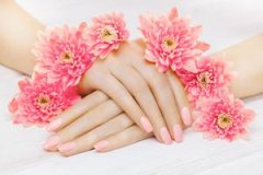 美甲店芭比是什么意思（芭比甲是什么意思）