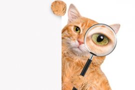 什么是定性烂尾楼