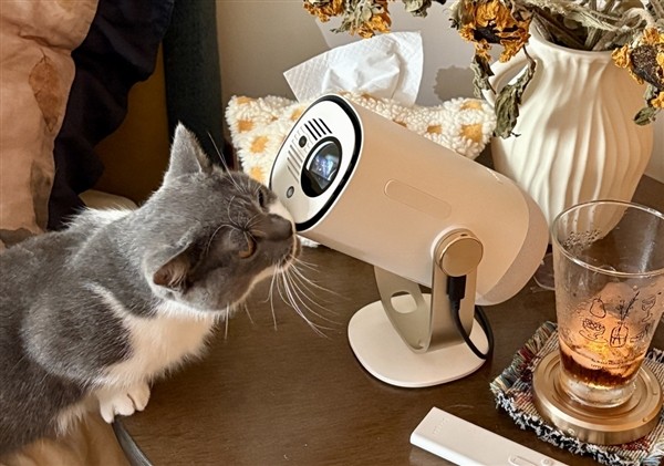 租房投影仪怎么选?当贝Smart1预算千元