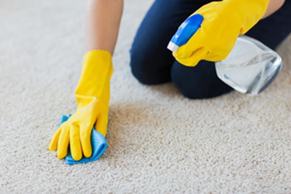 牡蛎是什么：牡蛎的功效与作用