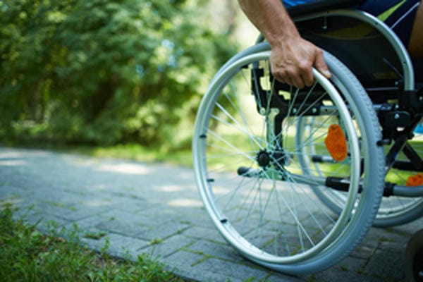 鸡毛菜的营养价值：鸡毛菜的做法